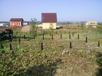 CAM00105