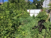 8m-IaJU2vA4