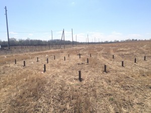 Фундамент на винтовых сваях в деревне Малое савино
