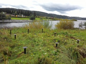 Фундамент на винтовых сваях под беседку в Перми